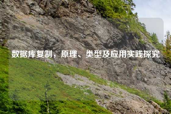 数据库复制，原理、类型及应用实践探究