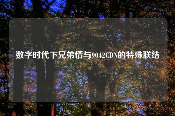 数字时代下兄弟情与9042CDN的特殊联结