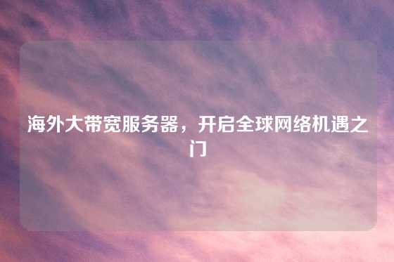 海外大带宽服务器，开启全球网络机遇之门