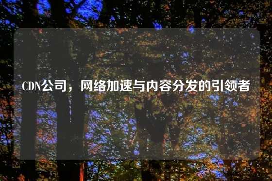 CDN公司，网络加速与内容分发的引领者
