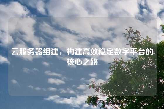 云服务器组建，构建高效稳定数字平台的核心之路