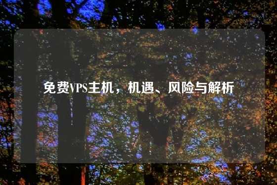 免费VPS主机，机遇、风险与解析
