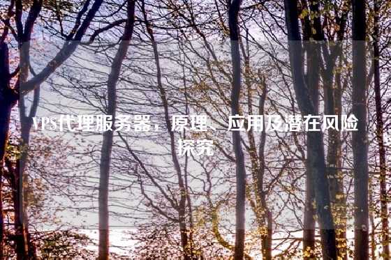 VPS代理服务器，原理、应用及潜在风险探究