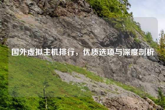 国外虚拟主机排行，优质选项与深度剖析