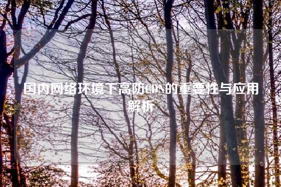 国内网络环境下高防CDN的重要性与应用解析