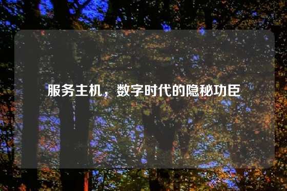 服务主机，数字时代的隐秘功臣