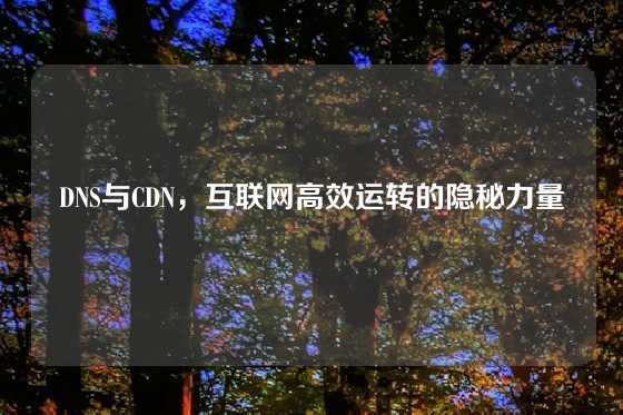DNS与CDN，互联网高效运转的隐秘力量