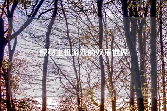 探秘主机游戏的欢乐世界