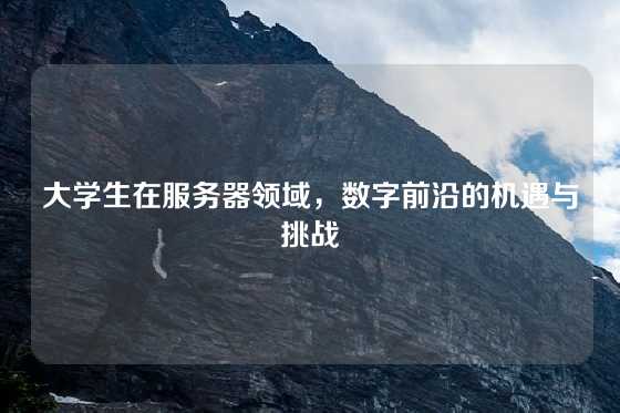 大学生在服务器领域，数字前沿的机遇与挑战