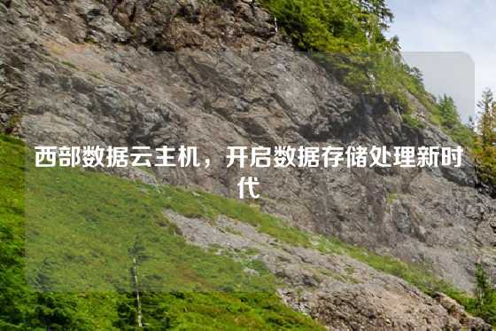 西部数据云主机，开启数据存储处理新时代