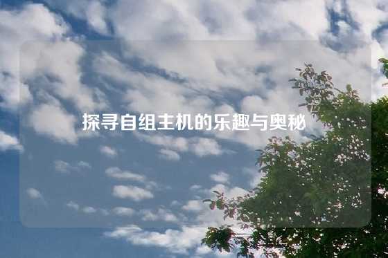 探寻自组主机的乐趣与奥秘