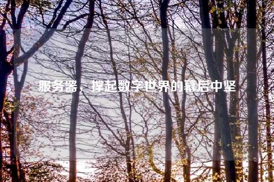 服务器，撑起数字世界的幕后中坚