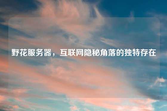 野花服务器，互联网隐秘角落的独特存在