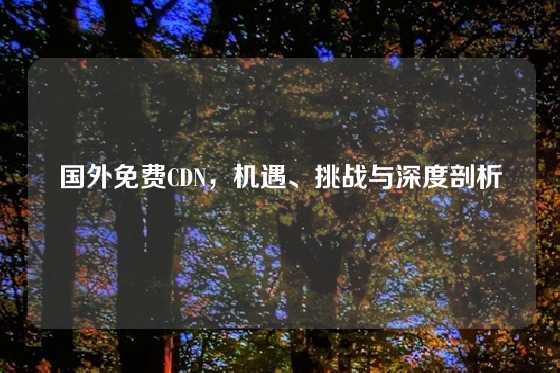 国外免费CDN，机遇、挑战与深度剖析