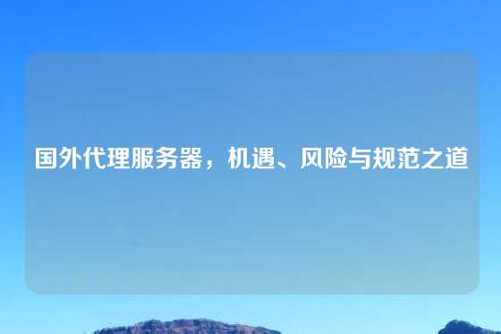 国外代理服务器，机遇、风险与规范之道