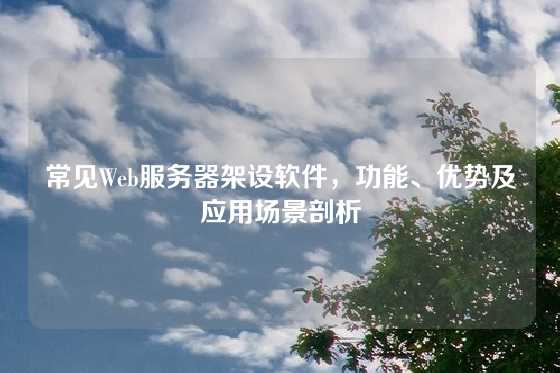 常见Web服务器架设软件，功能、优势及应用场景剖析