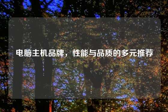 电脑主机品牌，性能与品质的多元推荐