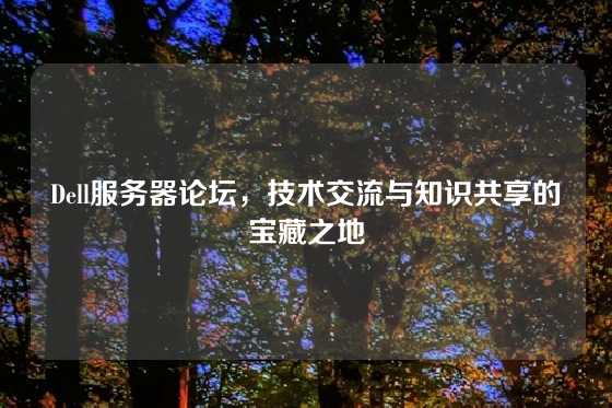 Dell服务器论坛，技术交流与知识共享的宝藏之地