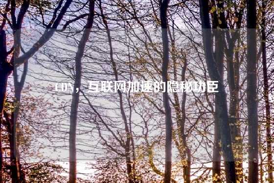 CDN，互联网加速的隐秘功臣