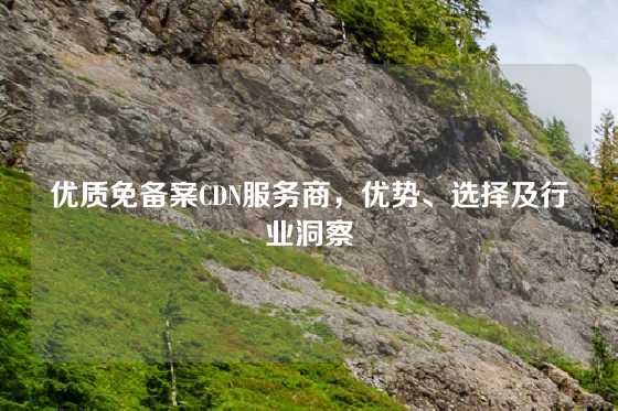 优质免备案CDN服务商，优势、选择及行业洞察