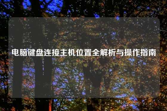 电脑键盘连接主机位置全解析与操作指南