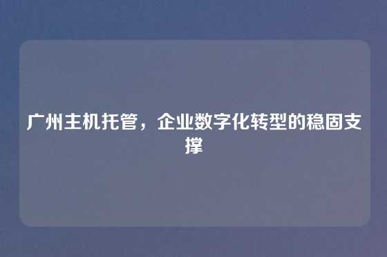 广州主机托管，企业数字化转型的稳固支撑