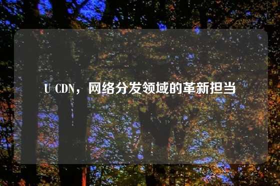 U CDN，网络分发领域的革新担当