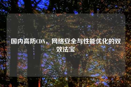 国内高防CDN，网络安全与性能优化的双效法宝