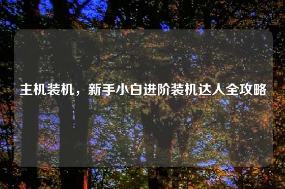 主机装机，新手小白进阶装机达人全攻略