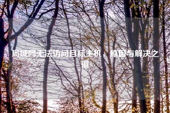 局域网无法访问目标主机，原因与解决之道