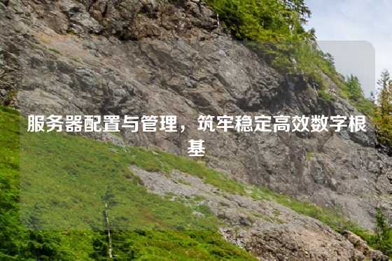服务器配置与管理，筑牢稳定高效数字根基