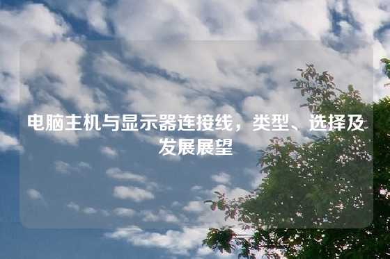 电脑主机与显示器连接线，类型、选择及发展展望