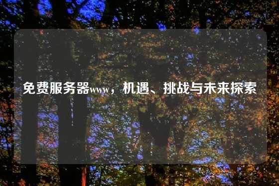 免费服务器www，机遇、挑战与未来探索