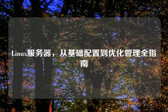 Linux服务器，从基础配置到优化管理全指南