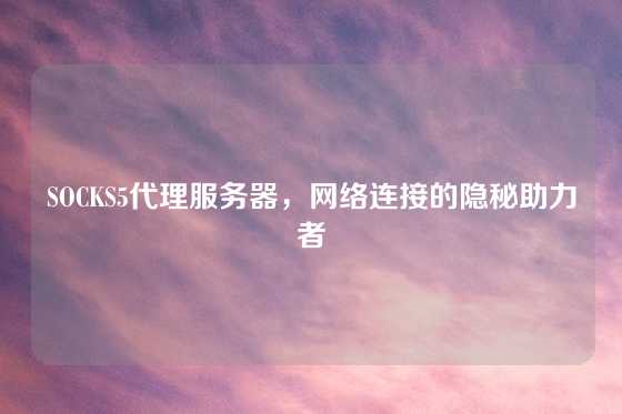 SOCKS5代理服务器，网络连接的隐秘助力者