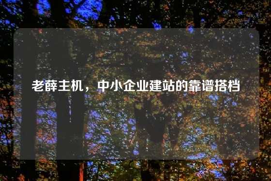 老薛主机，中小企业建站的靠谱搭档