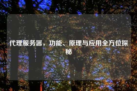 代理服务器，功能、原理与应用全方位探秘