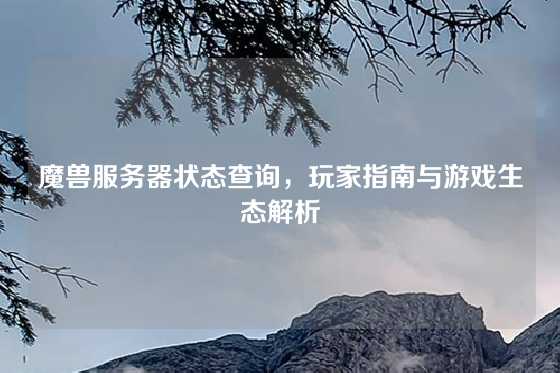 魔兽服务器状态查询，玩家指南与游戏生态解析