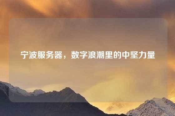 宁波服务器，数字浪潮里的中坚力量