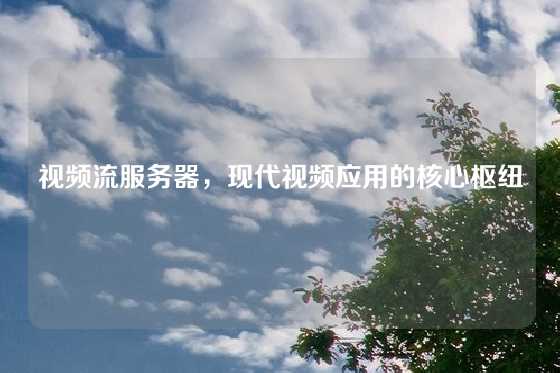 视频流服务器，现代视频应用的核心枢纽