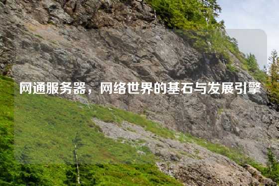网通服务器，网络世界的基石与发展引擎