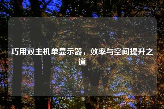 巧用双主机单显示器，效率与空间提升之道