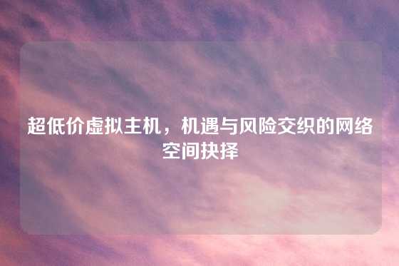 超低价虚拟主机，机遇与风险交织的网络空间抉择