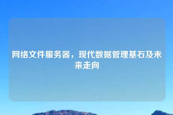 网络文件服务器，现代数据管理基石及未来走向