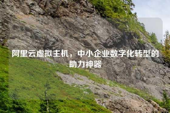 阿里云虚拟主机，中小企业数字化转型的助力神器
