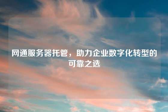 网通服务器托管，助力企业数字化转型的可靠之选
