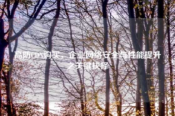 高防CDN购买，企业网络安全与性能提升之关键抉择