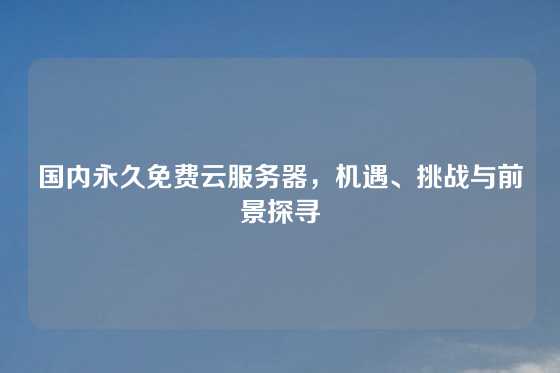 国内永久免费云服务器，机遇、挑战与前景探寻