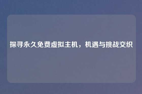 探寻永久免费虚拟主机，机遇与挑战交织