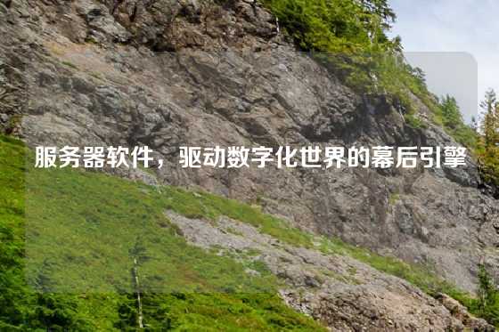 服务器软件，驱动数字化世界的幕后引擎